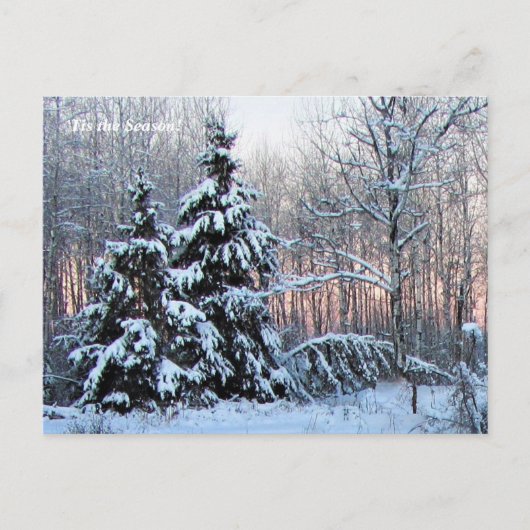 'Das ist die Jahreszeit nach Norden, Winterurlaub Postkarte (Vorderseite)