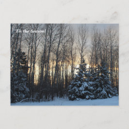 'Das ist die Jahreszeit nach Norden, Winterurlaub  Postkarte