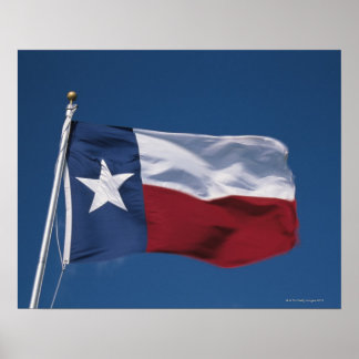 Das ist die Staatsflagge, die im Wind fliegt. Poster