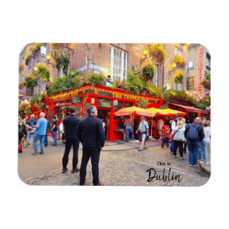 Das ist Dublin-Irland Magnet