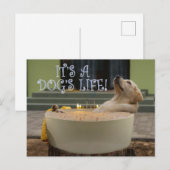 Das ist ein Leben für Hunde nach Karte (Vorne/Hinten)