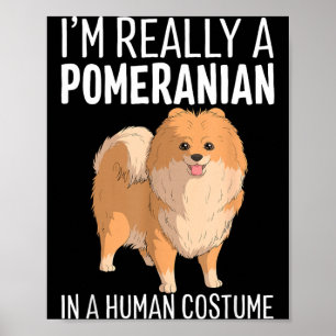 Das ist ein menschliches Kostüm Ein Pomeranian Hun Poster