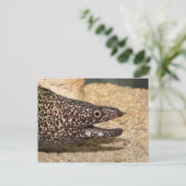 Das ist ein Moray! Postkarte (Stehend Vorderseite)