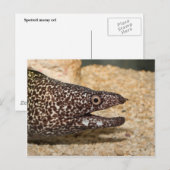 Das ist ein Moray! Postkarte (Vorne/Hinten)