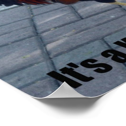 Das ist eine Key West Sache! Poster (Ecke)