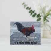 Das ist eine Key West Sache! Postkarte (Stehend Vorderseite)