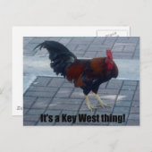 Das ist eine Key West Sache! Postkarte (Vorne/Hinten)