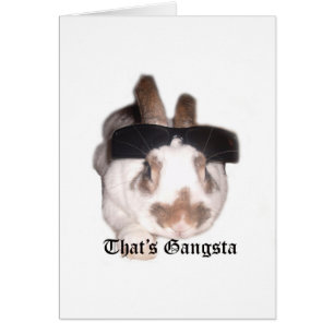 Das ist Gangsta