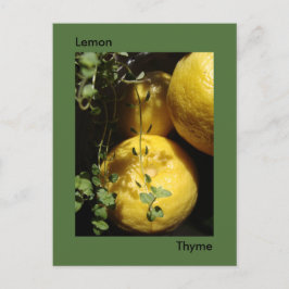 Das ist Lemon Thyme. Postkarte