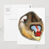 DAS IST MANDRILL POSTKARTE (Vorne/Hinten)