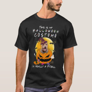 Das ist mein Halloween-Kostüm, ich bin eigentlich T-Shirt