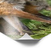 Das ist mein Vater Fotodruck (Ecke)