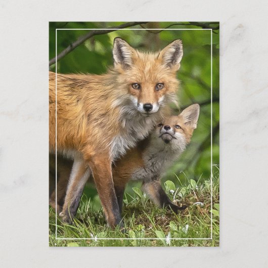 Das ist mein Vater Postkarte (Vorderseite)