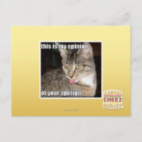 Das ist meine Meinung