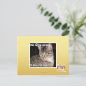 Das ist meine Meinung Postkarte (Stehend Vorderseite)