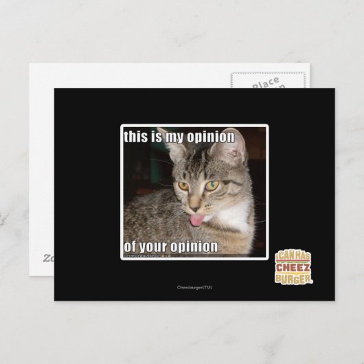 Das ist meine Meinung Postkarte (Vorne/Hinten)