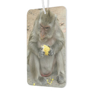 Das ist meins! ... Wild Thai Macaque Monkey Autolufterfrischer