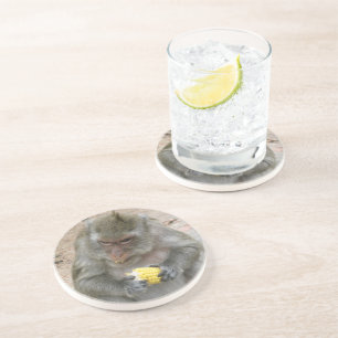 Das ist meins! ... Wild Thai Macaque Monkey Getränkeuntersetzer