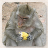 Das ist meins! ... Wild Thai Macaque Monkey Getränkeuntersetzer (Vorderseite)