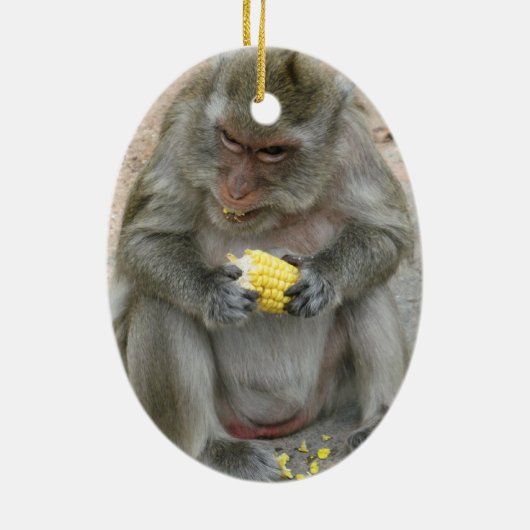 Das ist meins! ... Wild Thai Macaque Monkey Keramik Ornament (Hinten)