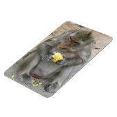 Das ist meins! ... Wild Thai Macaque Monkey Magnet (Linke Seite)