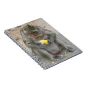 Das ist meins! ... Wild Thai Macaque Monkey Notizblock (Rechte Seite)