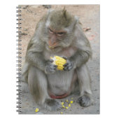 Das ist meins! ... Wild Thai Macaque Monkey Notizblock (Vorderseite)
