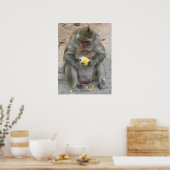 Das ist meins! ... Wild Thai Macaque Monkey Poster (Küche)