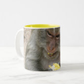 Das ist meins! ... Wild Thai Macaque Monkey Zweifarbige Tasse (Vorderseite Links)
