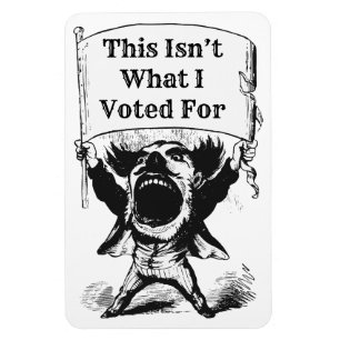 Das ist nicht das, wofür ich gestimmt habe magnet