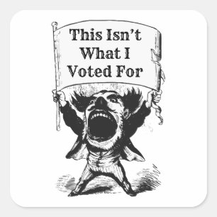 Das ist nicht das, wofür ich gestimmt habe quadratischer aufkleber