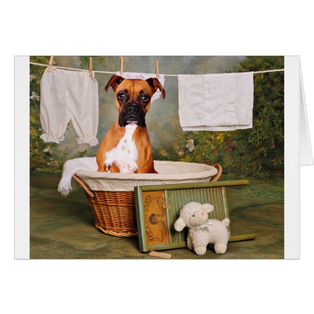 Das ist nicht lustig (Vorderseite (Horizontal))