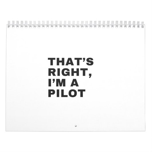 DAS IST RICHTIG, ICH BIN EIN PILOT KALENDER (Titelbild)