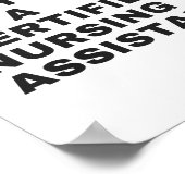 DAS IST RICHTIG, ICH BIN EIN ZERTIFIZIERTER VERSIC POSTER (Ecke)