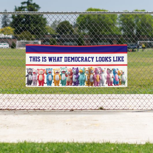 Das ist, was Demokratie aussieht Protest Banner (Insitu)