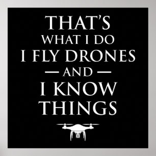 Das ist, was ich tue Fly Drones & ich weiß Dinge Poster