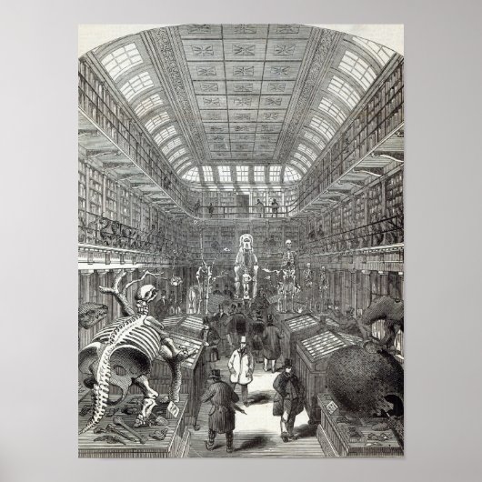 Das Jägermuseum Poster (Vorne)