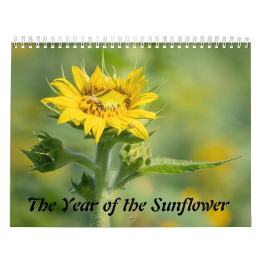 Das Jahr der Sonnenblume Kalender (Titelbild)