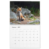 Das Jahr des Fox-Kalenders Kalender (Feb 2027)