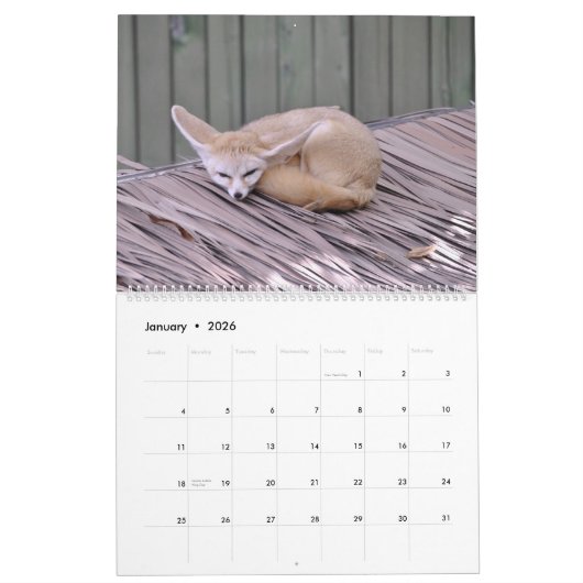 Das Jahr des Fox-Kalenders Kalender (Jan 2026)