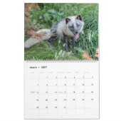 Das Jahr des Fox-Kalenders Kalender (Mär 2027)