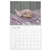 Das Jahr des Fox-Kalenders Kalender (Jan 2027)