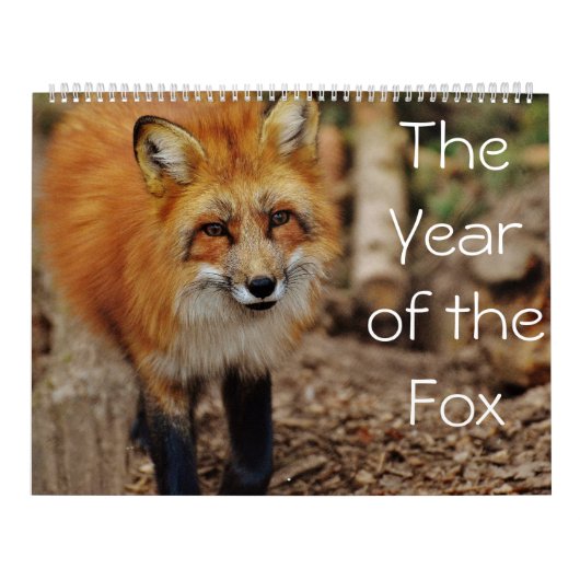 Das Jahr des Fox-Kalenders Kalender (Titelbild)