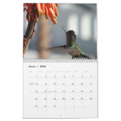 Das Jahr des Hummingvogelkalenders Kalender (Mär 2026)