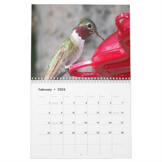 Das Jahr des Hummingvogelkalenders Kalender (Feb 2026)