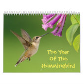 Das Jahr des Hummingvogelkalenders Kalender (Titelbild)