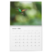 Das Jahr des Hummingvogelkalenders Kalender (Jan 2026)