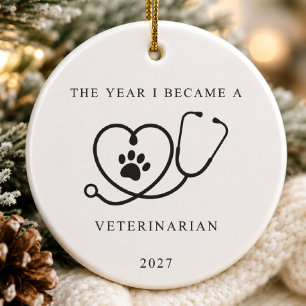 Das Jahr, in dem ich zum Tierarzt-Schmuck wurde Keramik Ornament