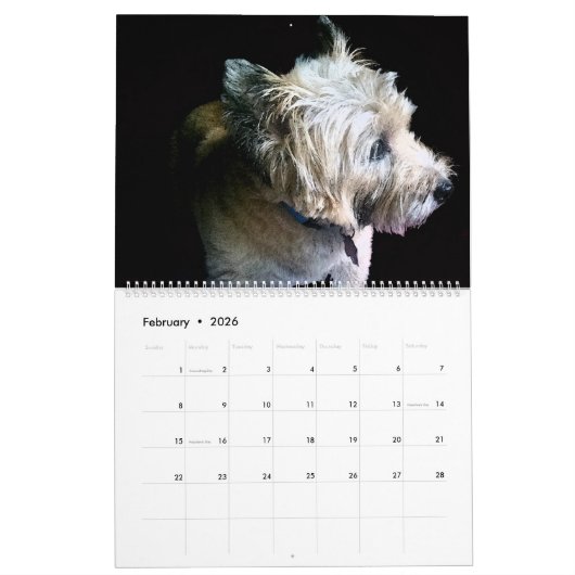 Das Jahr mit Elch und Barney Kalender (Feb 2026)