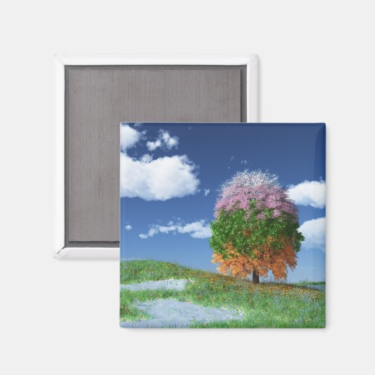 Das Jahresmagnet Magnet (Vorderseite/Rückseite)